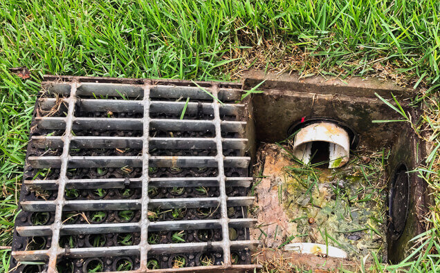 https://blockeddrainschurchlands.com.au/uploads/2025/07/hero-blocked-sewers-40191.jpg